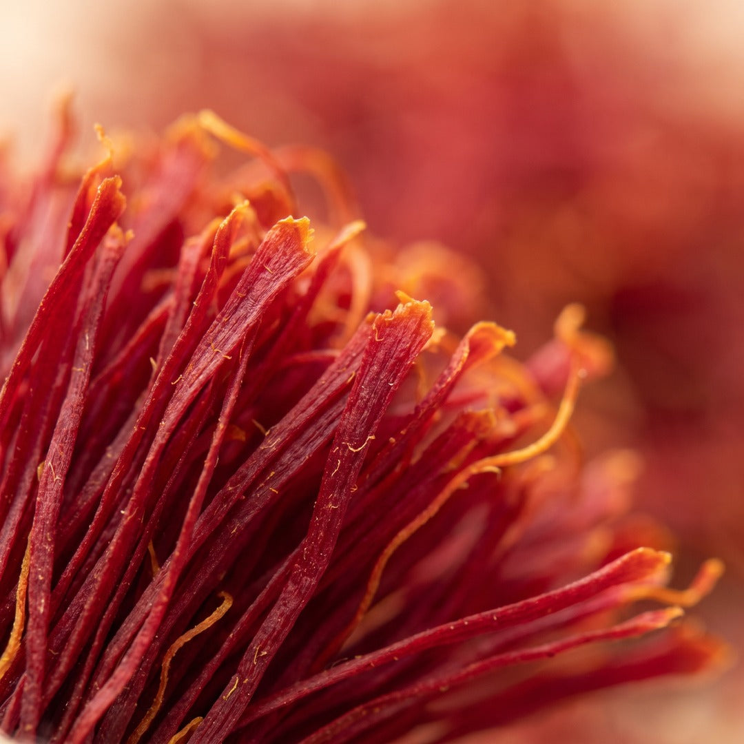 Saffron Flower Extract