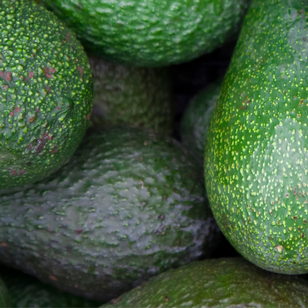 Avocado Oil