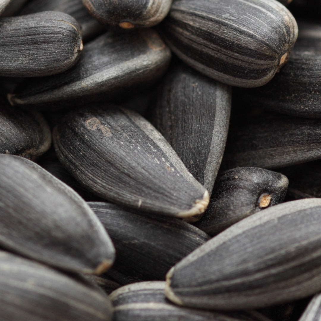 Sunflower Seed Oil